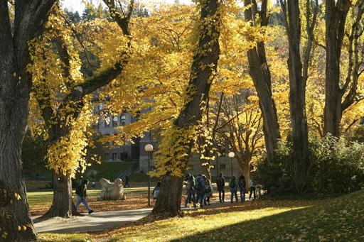 Students walk across campus, past trees with golden leaves.